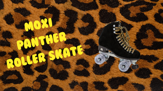 All About the Moxi Panther!