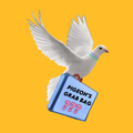 Pigeon's Grab Bag - FOR A NON SKATER - Pigeon's Roller Skate Shop