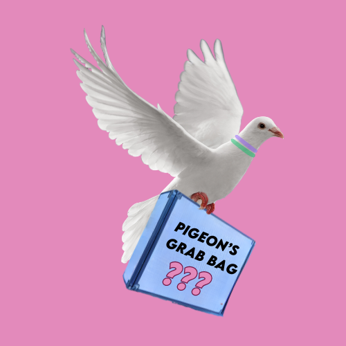 Pigeon luggage