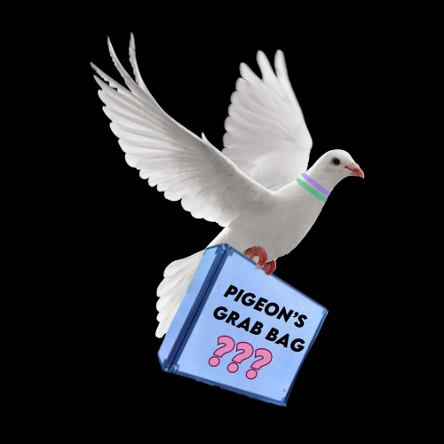 Pigeon's Grab Bag - FOR A SKATER - Pigeon's Roller Skate Shop