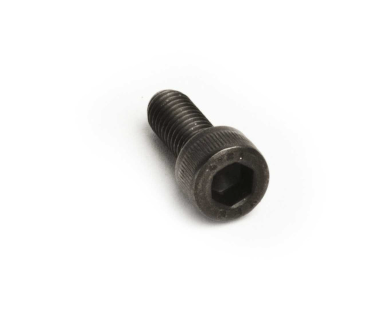 Reactor Plate - PARTS - Pigeon's Roller Skate Shop