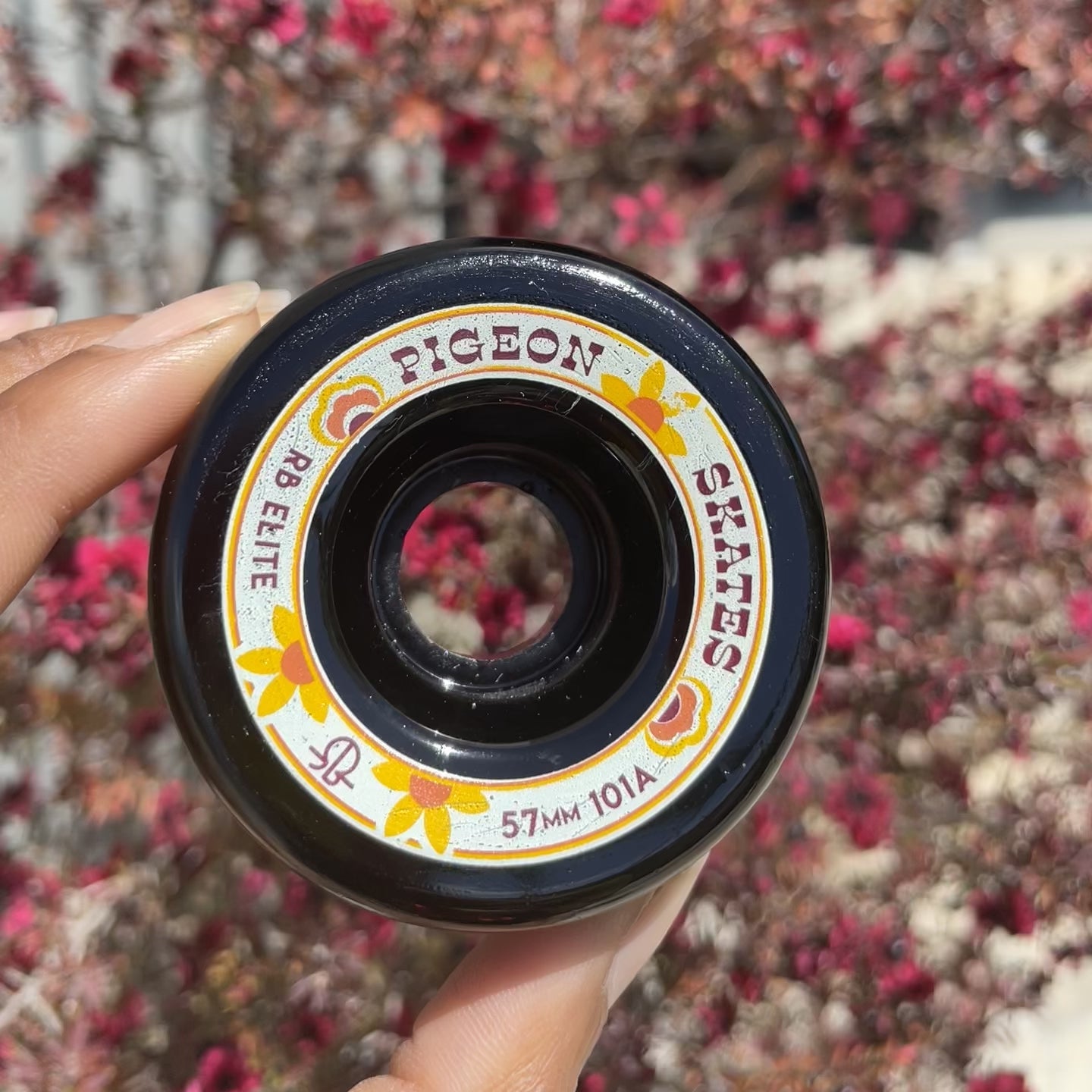 Pigeon x RollerBones Elite Wheels - BLACK