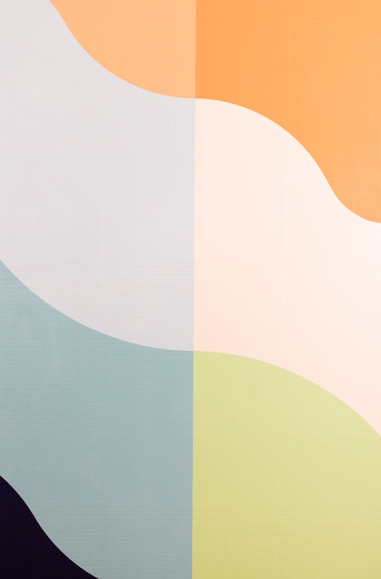 RadPadz Cannonballer | Abstract - Pigeon's Roller Skate Shop