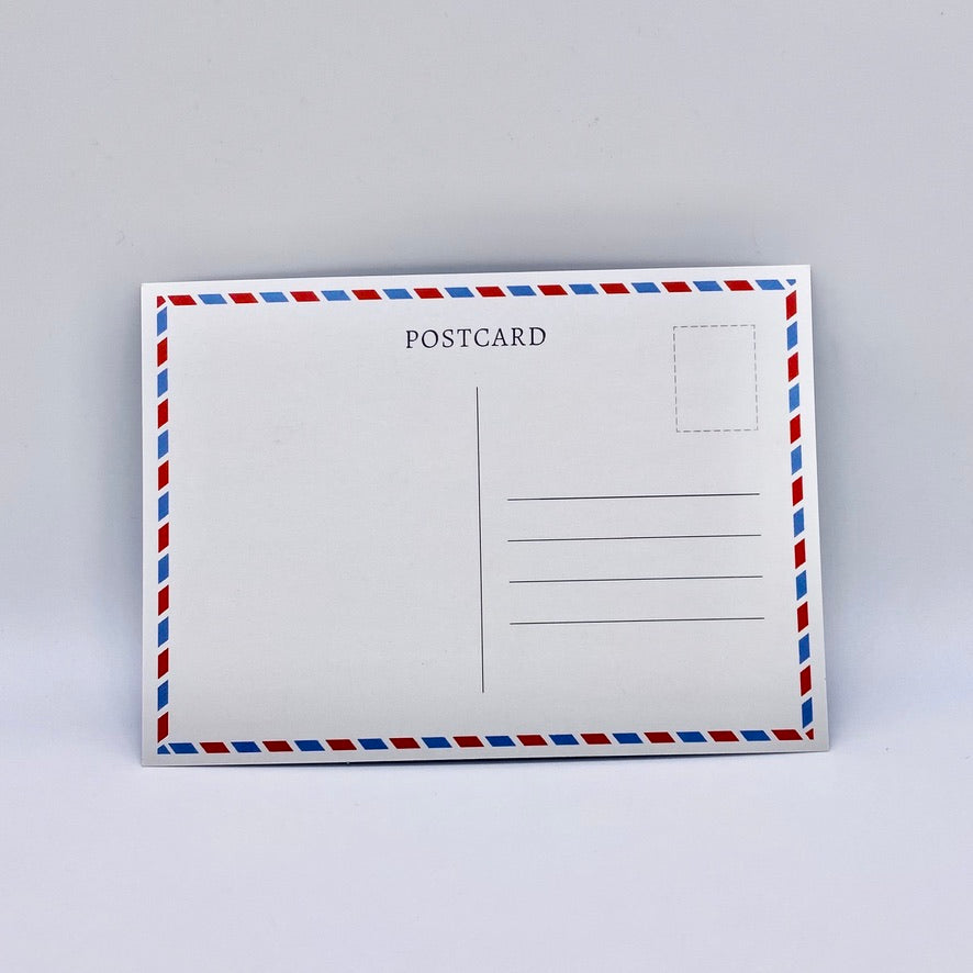 QSA "You're Not Alone" Postcard Pack - Pigeon's Roller Skate Shop