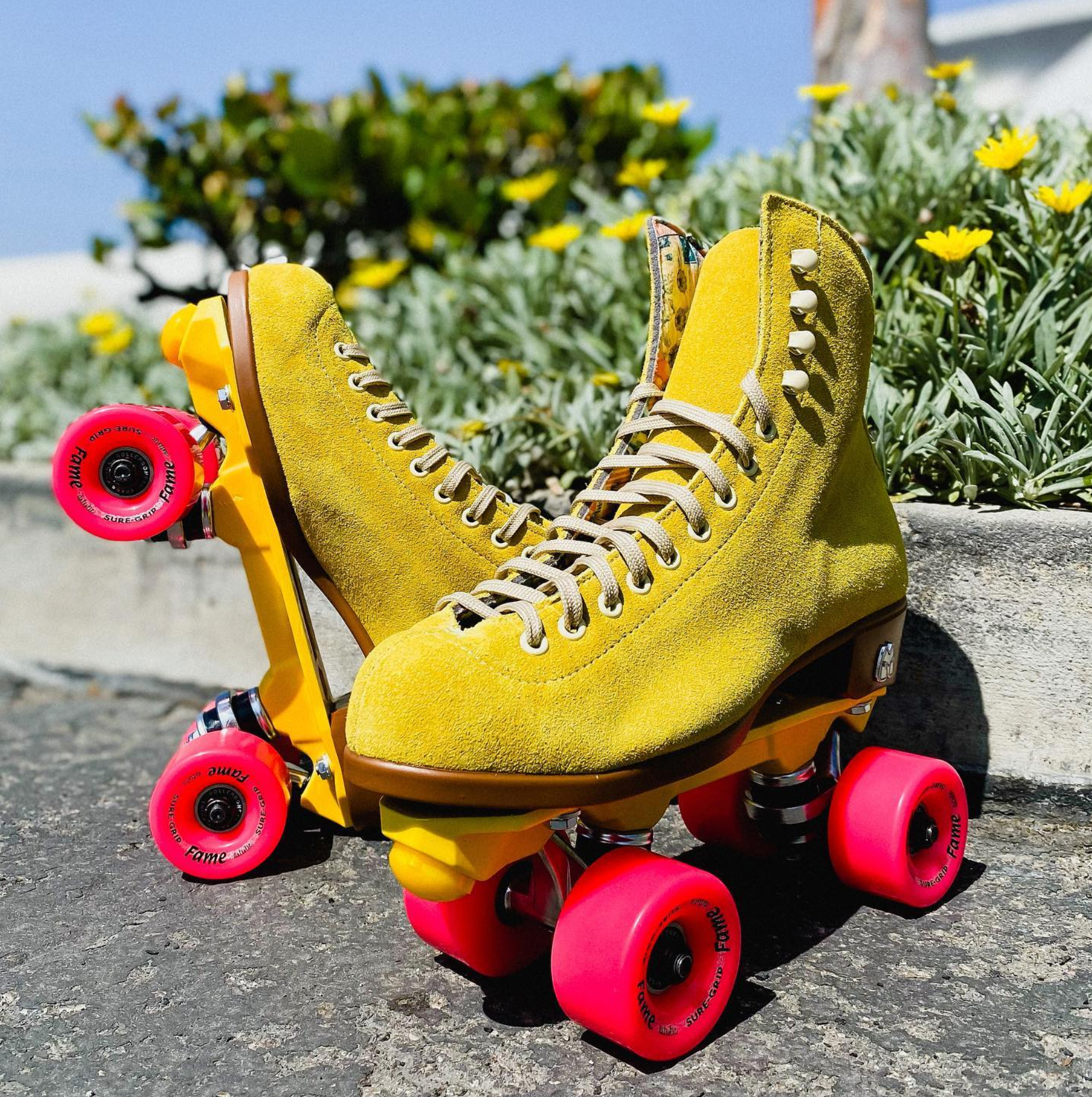 Custom Moxi Lolly Package - Complete Skate Build - Pigeon's Roller Skate Shop