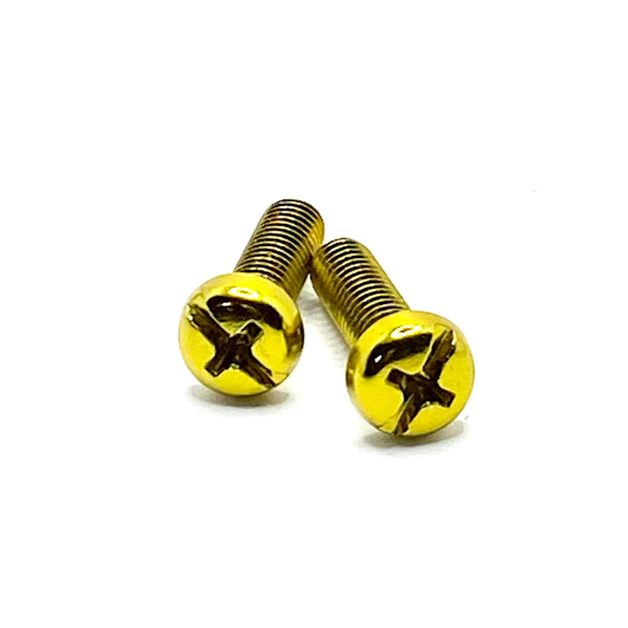 Gold Metallic Bolts / Screws for Bolt-on Toe Stops & Toe Plugs (5/16"), Pair - Pigeon's Roller Skate Shop
